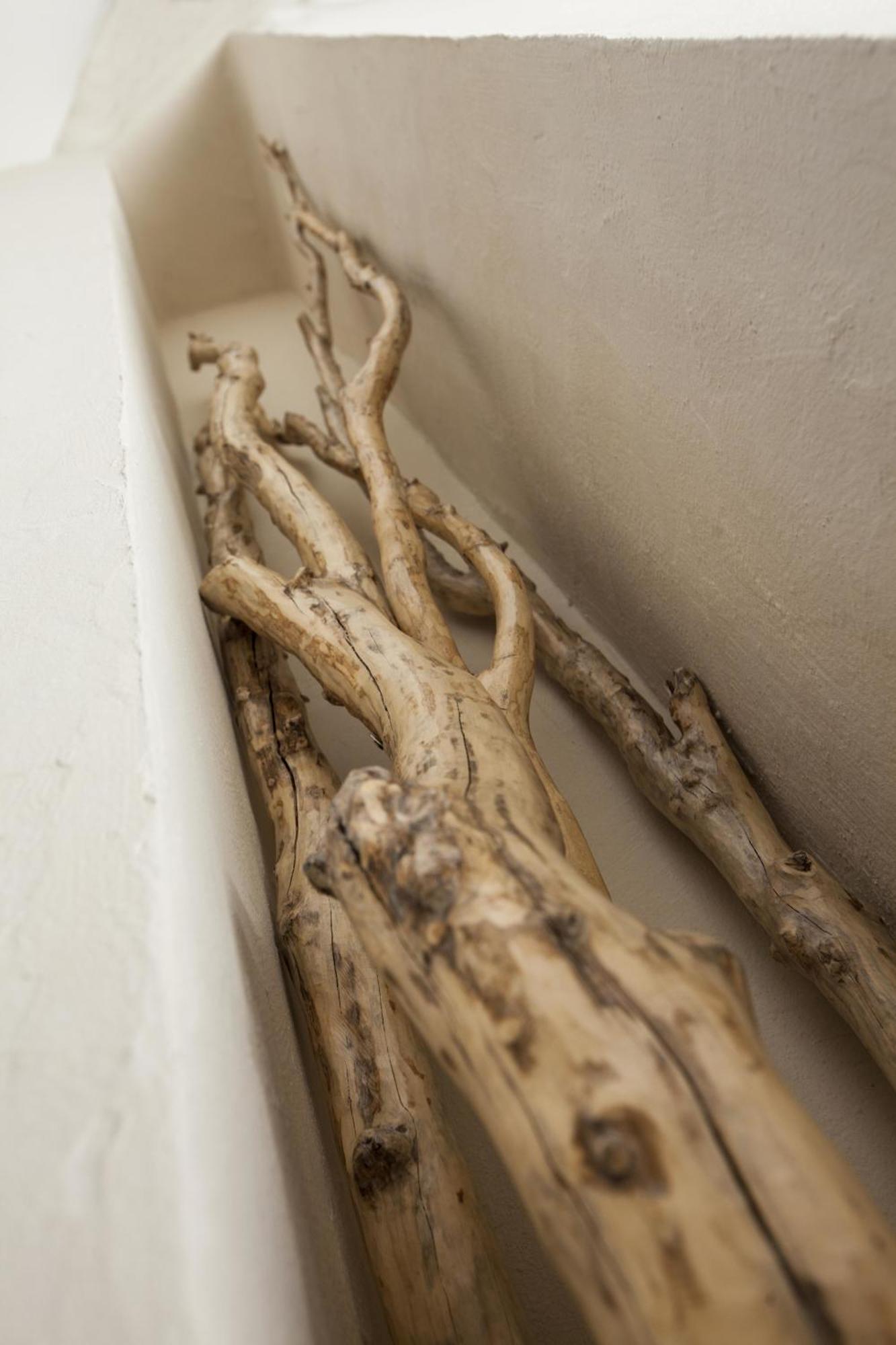 L'Escampe Panzió Saturargues Szoba fotó